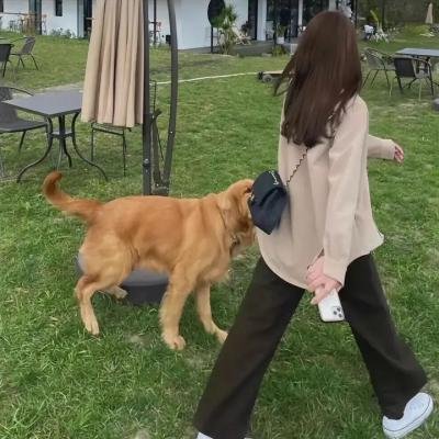 没有留下地址就离开了